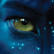 Illustration for article titled Avatar IMAX Tickets Already Available